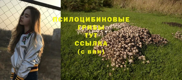 MDMA Premium VHQ Верхний Тагил