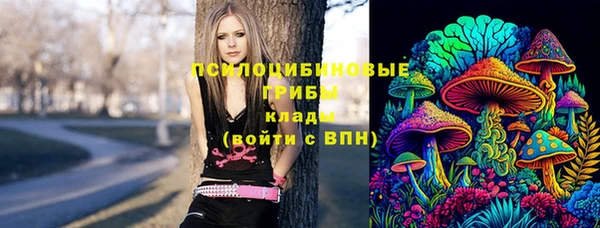 бошки Верея