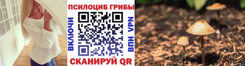 Галлюциногенные грибы GOLDEN TEACHER  Купить закладки  Коряжма 